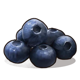 Blueberries Rust Item