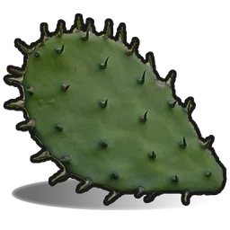 Мякоть кактуса Rust Item