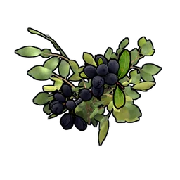 Black Berry Clone Rust Item