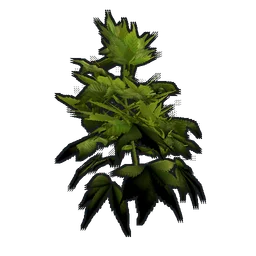 Hemp Clone Rust Item