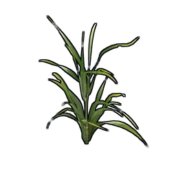 Wheat Clone Rust Item