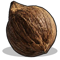 Кокос Rust Item