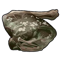 Spoiled Deer Meat Rust Item