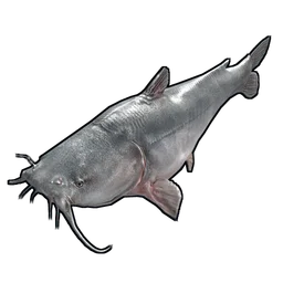 Catfish Rust Item