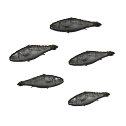 Minnows Rust Item