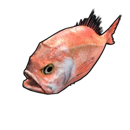 Orange Roughy Rust Item