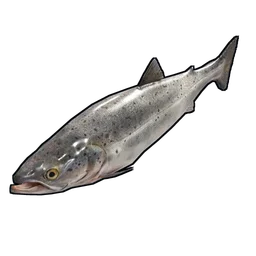 Salmon Rust Item