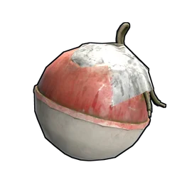Рыболовные снасти Rust Item