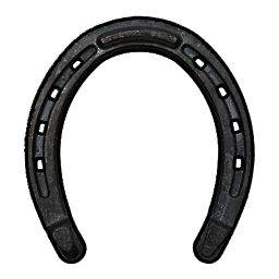 Basic Horse Shoes Rust Item