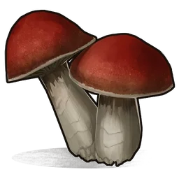 Mushroom Rust Item