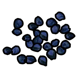 Blue Berry Seed Rust Item