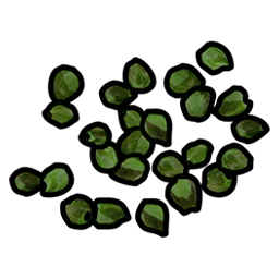 Green Berry Seed Rust Item