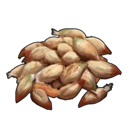 Семена розы Rust Item