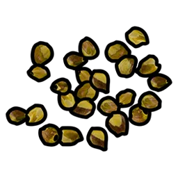 Yellow Berry Seed Rust Item