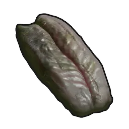 Spoiled Snake Meat Rust Item