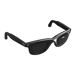 Sunglasses Rust Item