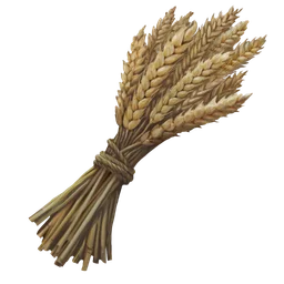 Wheat Rust Item