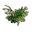 Green Berry Clone