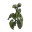 Sunflower Clone