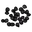 Black Berry Seed