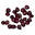 Red Berry Seed