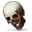 Human Skull Rust Item