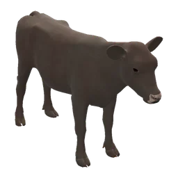 Calf Rust Item