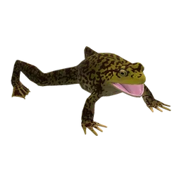 Frog Rust Item