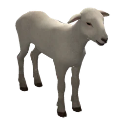 Lamb Rust Item