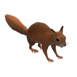 Squirrel Rust Item